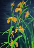 110-iris-d-eau-scaled