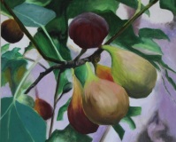 1_figues