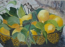 35-citrons-1