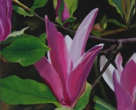 49-fleur-de-magnolia-Ramon-1