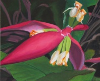 50-fleur-de-bananier-Ramon-1