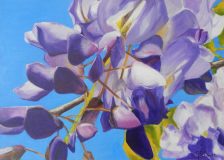 64-glycine-Copie-1-scaled